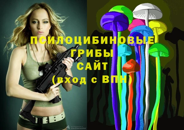 spice Лагань