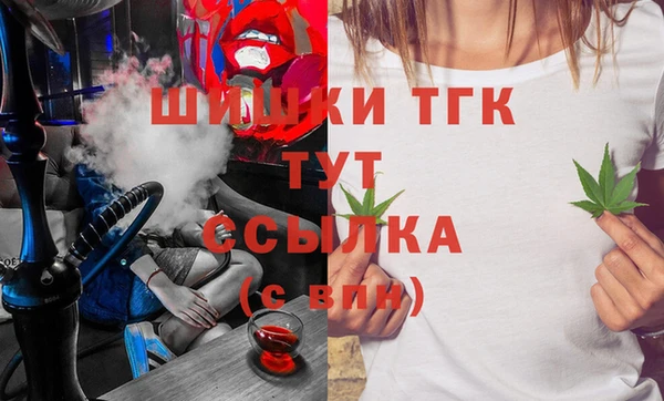 стаф Лабытнанги